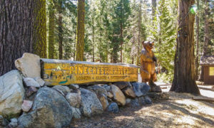 Pinecrest Chalet Hotel Resort In Pinecrest Ca Cabins And