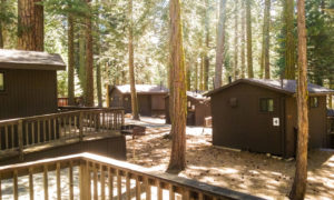 Pinecrest Chalet Hotel Resort In Pinecrest Ca Cabins And